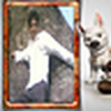 Profile Picture of syed mubasheer (@its atiq) on Flickr