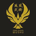 Profile Picture of Feng Huang Wushu Montreal (@wushumontreal) on Instagram