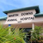 Profile Picture of Martin Downs Animal Hospital (@vet4yourpet) on Instagram