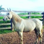 Profile Picture of Alex Donato (@alex.donato.1460) on Instagram