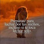 Profile Picture of guillermo.maravilla (@guillermo.maravilla) on Instagram