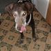 Profile Picture of Hans Bogusch (@hans.bogusch.14) on Facebook