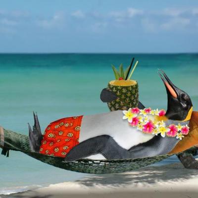 Profile Picture of Shawn Mullin (@penguinmama71) on Twitter