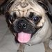 Profile Picture of LU FLORES (@luvana7) on Pinterest