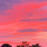 Profile Picture of Sidney Conroy (@conroy.sidney) on Instagram