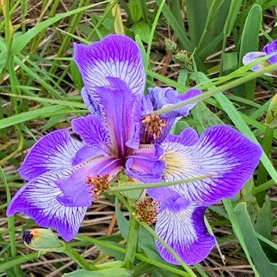 Profile Picture of Kim Hawley George (@KHawleyGeorge) on Twitter