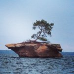 Profile Picture of D Riordan (@pdriordanjr) on Instagram