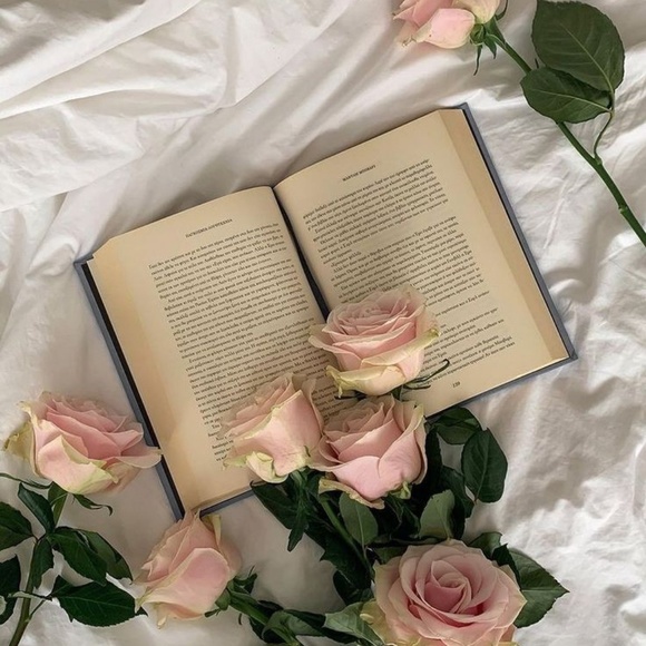 Profile Picture of Sofia sehrin Sofia sehrin (@1235u) on Poshmark