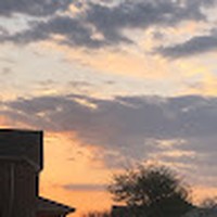 Profile Picture of Raelynn Thomas (@raelynn-thomas-11) on Quora