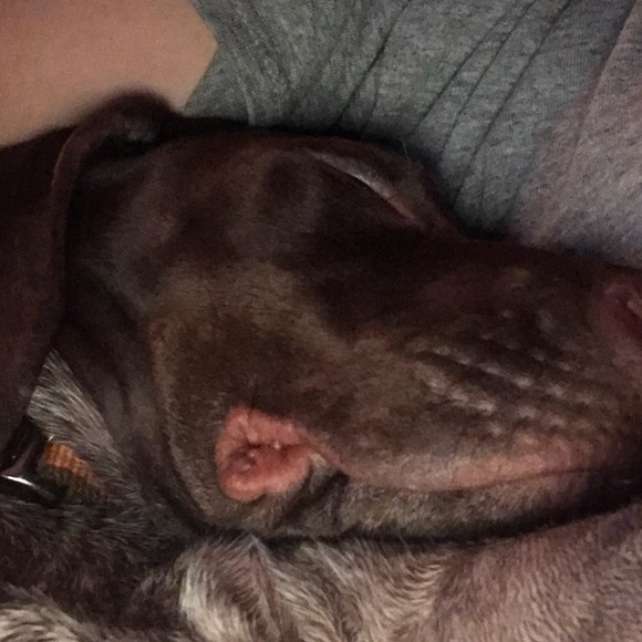 Profile Picture of Jason Twardowski (@jt3454) on Poshmark