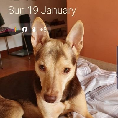 Profile Picture of Lisa Rose Johnson (@LisaDacosta) on Twitter