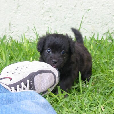 Profile Picture of Servando Ramirez (@ServandoRamire3) on Twitter