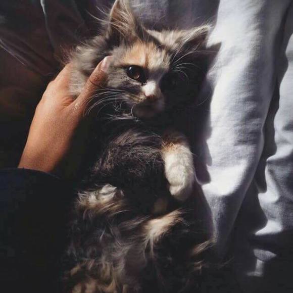 Profile Picture of Muna Yusuf (@muna_yusuf) on Poshmark