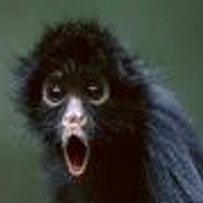 Profile Picture of Kevin Slish (@OmaNs7) on Twitter