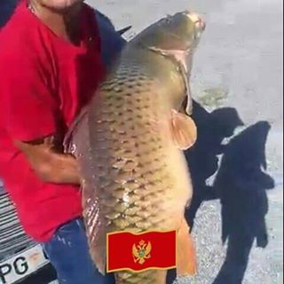 Profile Picture of Slavko Maljo Markovic (@MaljoKraljJezera) on Facebook