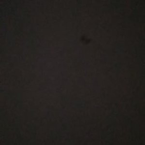 Profile Picture of Andre (@NurChol65200875) on Twitter