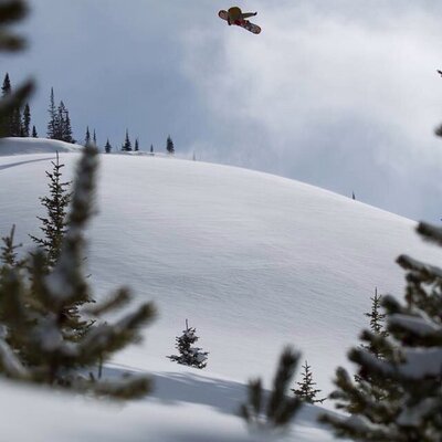 Profile Picture of Samuwool (@SamStott) on Twitter