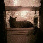 Profile Picture of Christine Filler (@christine.filler.ltd) on Instagram