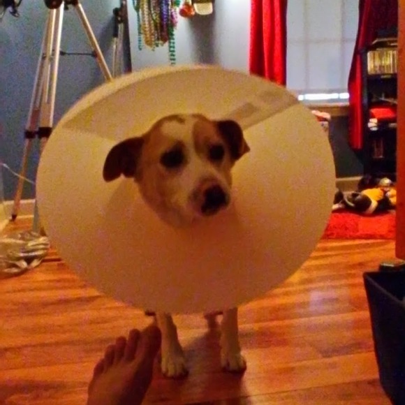 Profile Picture of Peter Wallace (@itspeterwallace) on Poshmark