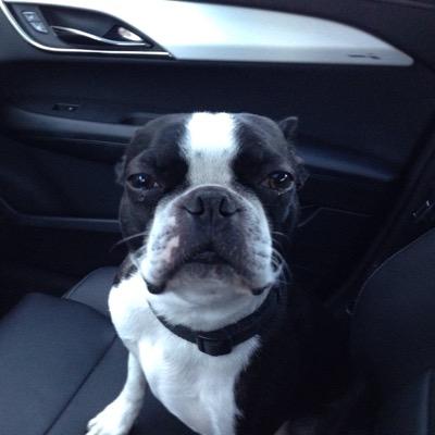 Profile Picture of Michael Woolsey (@mrwoolly60) on Twitter