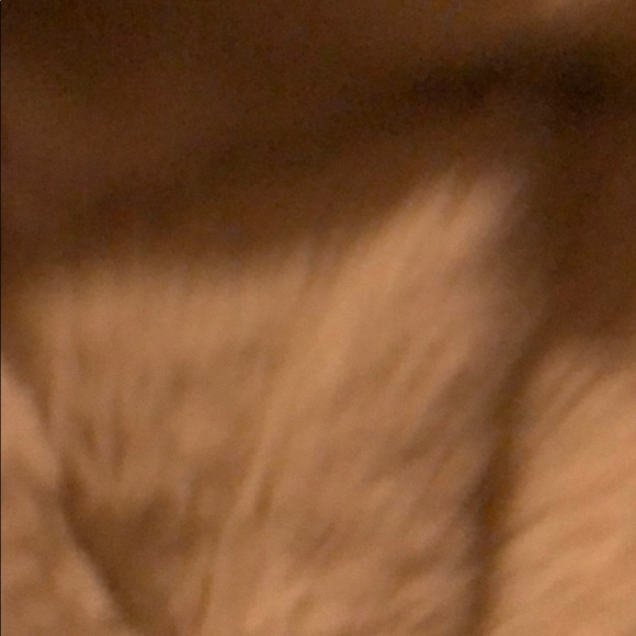 Profile Picture of Mitch Degeeter (@mitch_3) on Poshmark