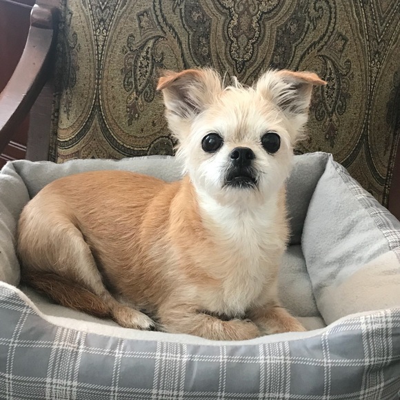 Profile Picture of Tiffany Stillinger (@tstillinger) on Poshmark