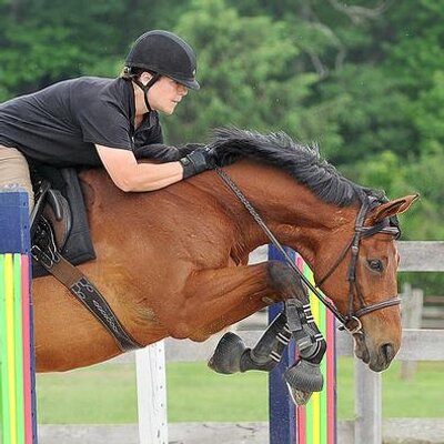 Profile Picture of Sarah K Andrew (@SarahKAndrew) on Twitter