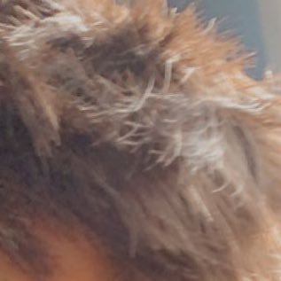 Profile Picture of Michael Servin (@s_michael8) on Twitter