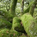 Ralph Hoyte - Instagram Profile Picture of Ralph Hoyte (@christabelreleased) on Instagram