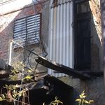 Profile Picture of Alex Abboud (@indigo_composure) on Instagram