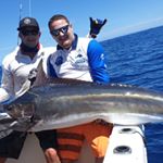 Profile Picture of Dave wells (@davewells37) on Instagram