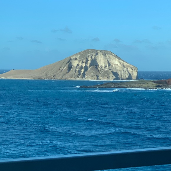 Profile Picture of Roy Campbell (@rojhilio2000) on Poshmark