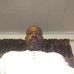 Profile Picture of Dennis Haskell (@dennis.haskell.52) on Facebook