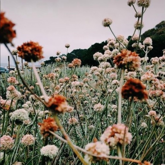 Profile Picture of Baleigh Schricker (@bschricker) on Poshmark