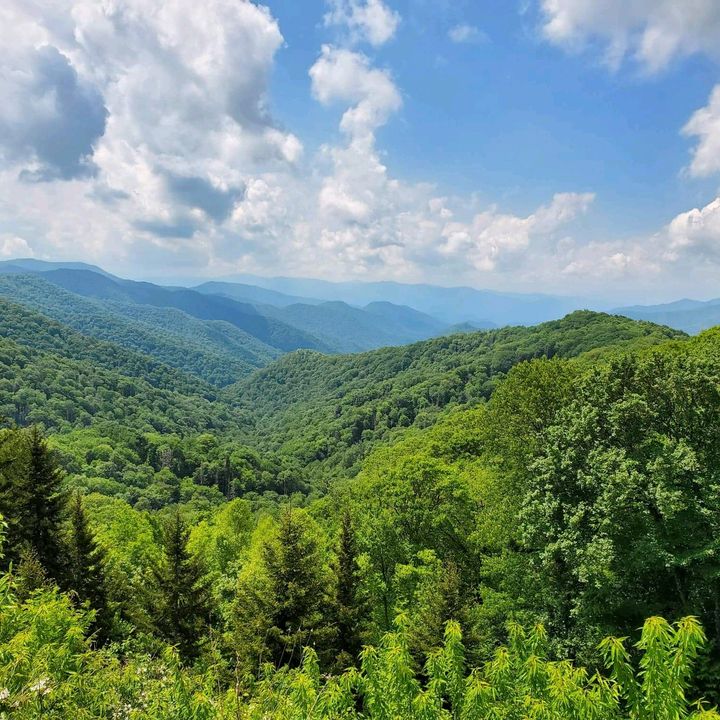 Profile Picture of Matthew Gruenke (@ilovewisconsin4life) on Tiktok