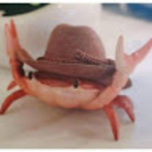 Profile Picture of Crab Crab (@crab42069) on Poshmark