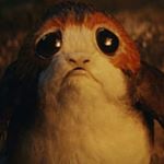 Profile Picture of David McSpadden (@rocky_acres) on Instagram
