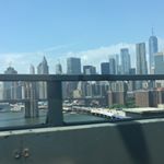 Profile Picture of Daniel Wolfe (@danielwolfeee) on Instagram