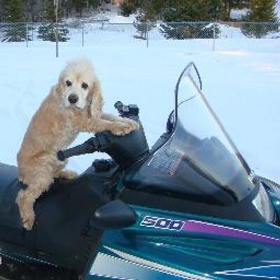 Profile Picture of Joe Miklovic (@TitoMariachi) on Twitter