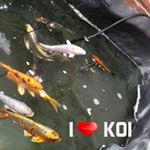 Craig Ware - Instagram Profile Picture of Craig Ware (@craiglingley1101) on Instagram