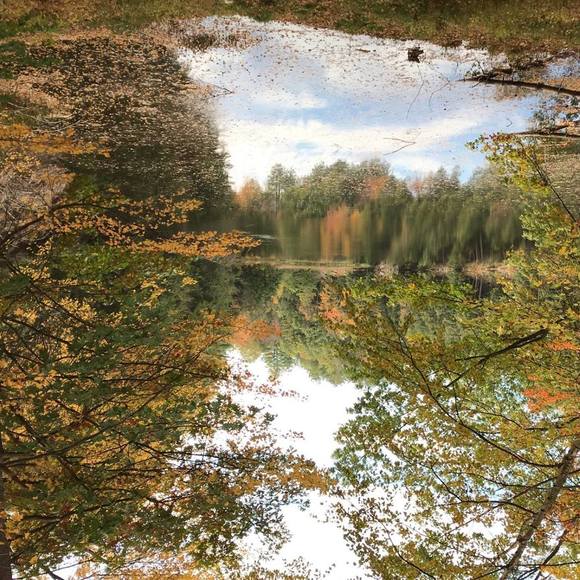 Profile Picture of Mays Alkhatib (@dodeedodee12345) on Poshmark