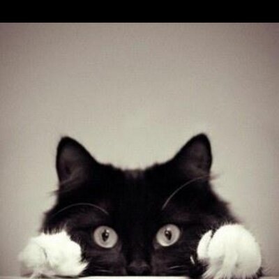 Profile Picture of Rudy Rosas (@rudy_rosas) on Twitter