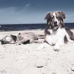 Michelle Ubermann - Instagram Profile Picture of Michelle Ubermann (@michelle.uber) on Instagram