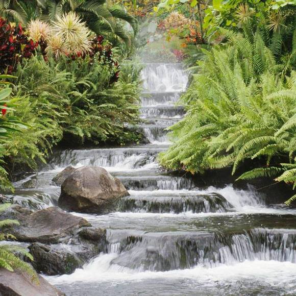 Profile Picture of Tesfaye Ashine (@autotes2003) on Poshmark