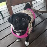 Profile Picture of Amara Smith (@amara.smith.9277) on Instagram
