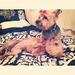 Profile Picture of Whitney Perdue (@perdue0673) on Pinterest
