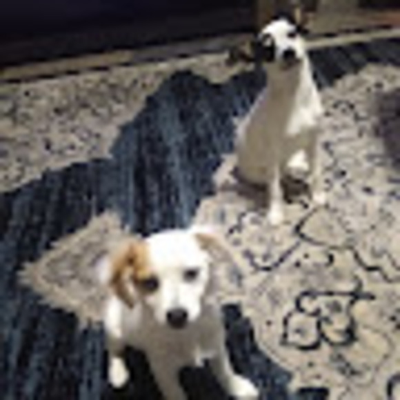 Profile Picture of Juan Santacruz (@juansantacruz81) on Poshmark