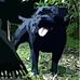 Profile Picture of Matthew Watson (@matthew.watson.98622) on Facebook
