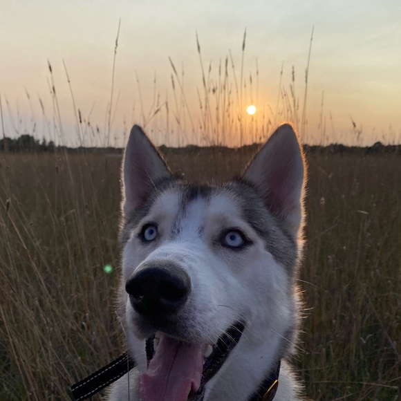 Isabella Caryl - Poshmark Profile Picture of Isabella Caryl (@isabelle_carol) on Poshmark