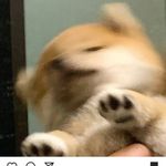 Profile Picture of Daniel Tomás (@daniel._.tomas) on Instagram